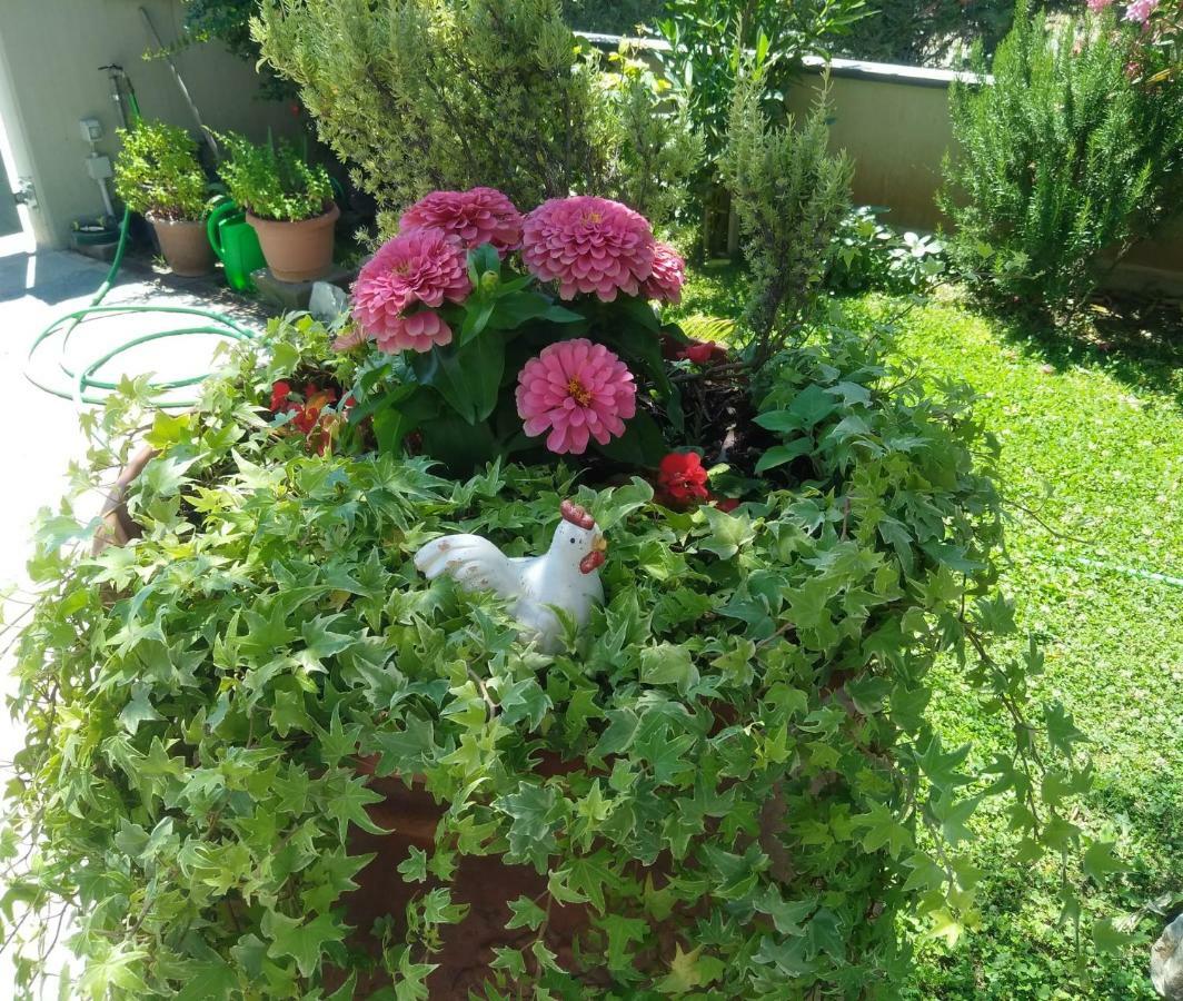 Appartamento Berlicche Agliana Zewnętrze zdjęcie